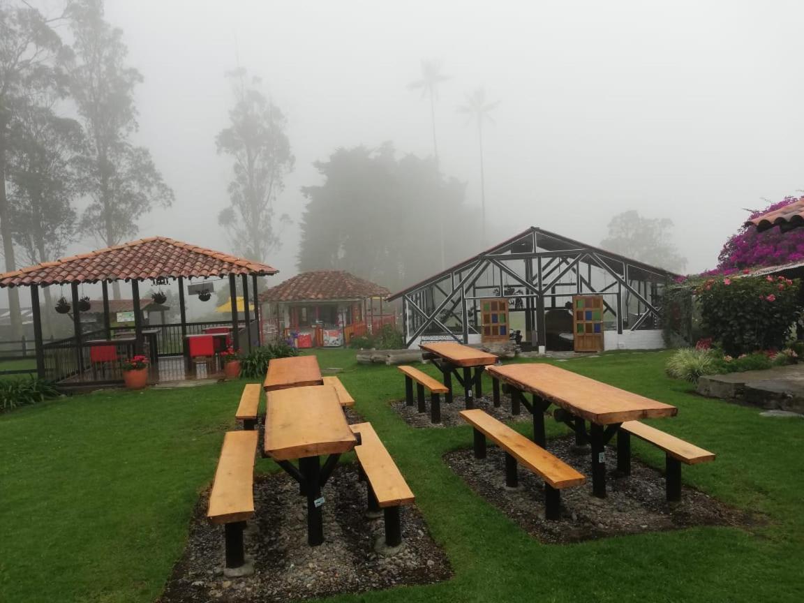 Гостевой дом Palmas De Cocora Саленто Экстерьер фото
